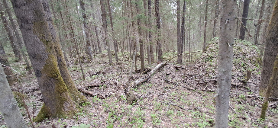 20250528_1917281.jpg