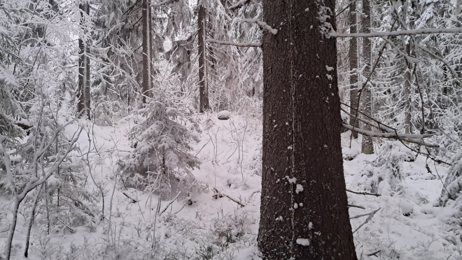 20260107_150533.jpg