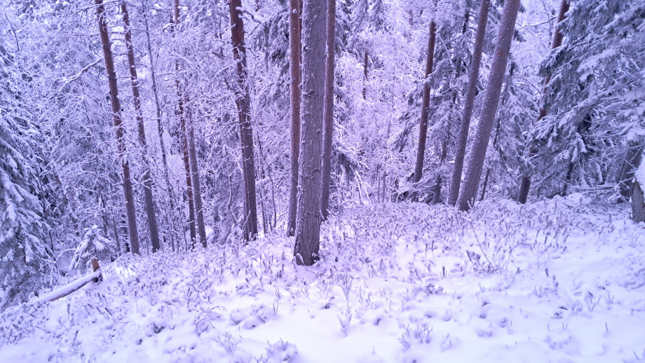 20260107_152200.jpg